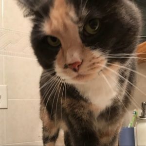 Meet your Posher, Tricia